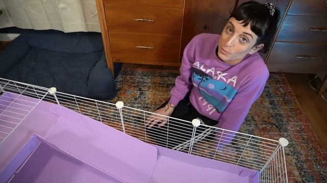 Guinea Pig Cage Set Up & Review : KAVEE CAGES смотреть онлайн