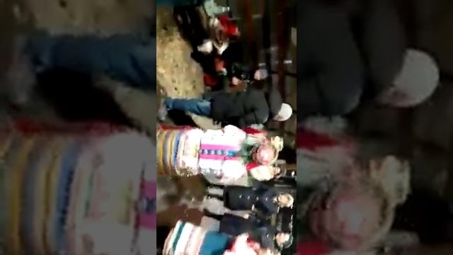 Частушки в Лианозовском парке 04 ноября 2017 года смотреть онлайн