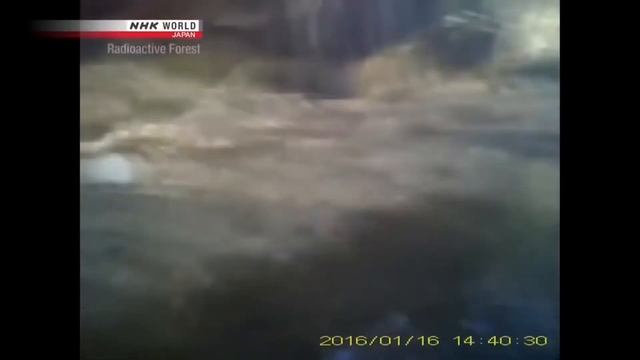 FUKUSHIMA NUCLEAR DISASTER ( JAPAN ) - Full Documentary смотреть онлайн