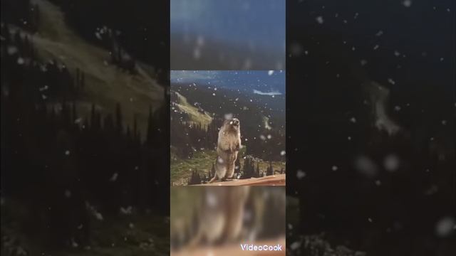 Мини игра хомяк 17 февраля решение головоломки с ключом смотреть онлайн