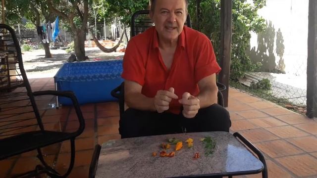 LA CALABAZITA O MOMORDICA CHARANTIA. ANTI DIABÉTICA Y ANTICANCERÍGENA смотреть онлайн