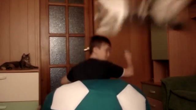 Кошка улетела!!! смотреть онлайн