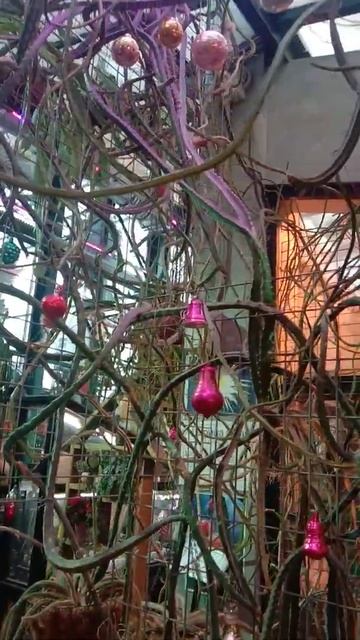 Новогодние игрушки на втором этаже Аптекарского огорода смотреть онлайн