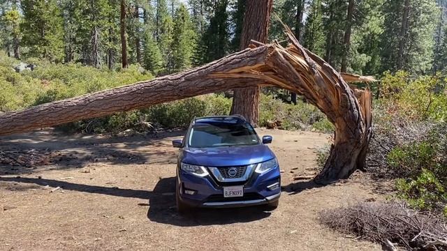 Giant Sequoia National Monument, a one day trip смотреть онлайн