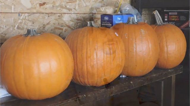 5 Amazing Health Benefits Of Pumpkin Seeds In Urdu Hindi - Dr Irfan Azeem смотреть онлайн