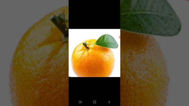 Песня про апельсин 🍊 смотреть онлайн