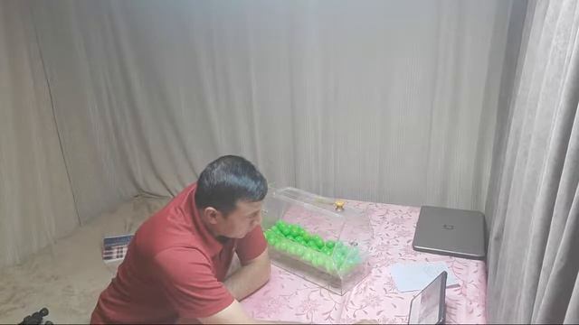 давоми смотреть онлайн