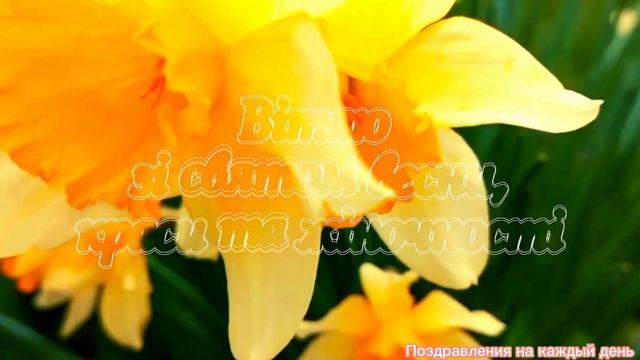 Вітаю з 8 березня! Привітання з 8 березня! Привітання з жіночим святом 8 Березня! смотреть онлайн