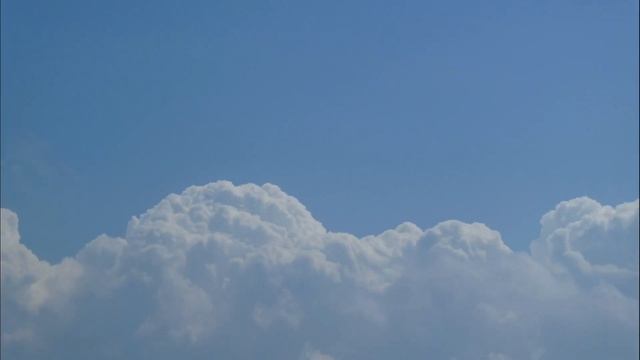 Арктурианский Совет Будьте творцом, а не членом культа смотреть онлайн