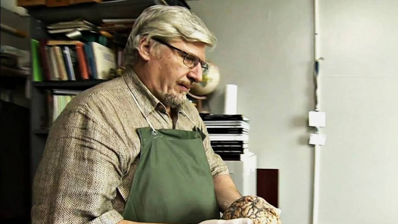 Савельев С.В. - причина по которой Человек НЕ (с)может понять смысла увиденого и(или) услуханого.