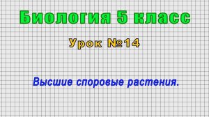 Биология 5 класс (Урок№14 - Высшие споровые растения.)