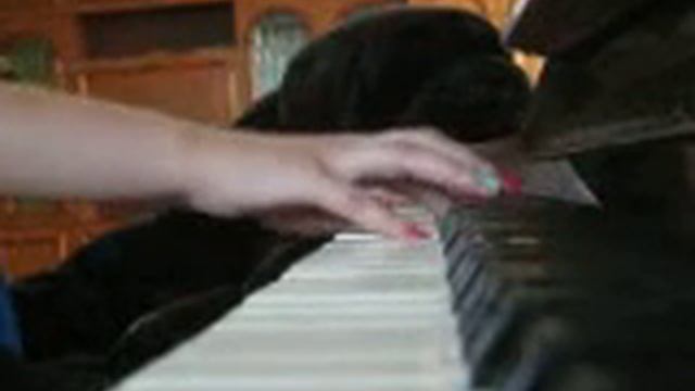 Lara Fabian Je T'aime piano смотреть онлайн