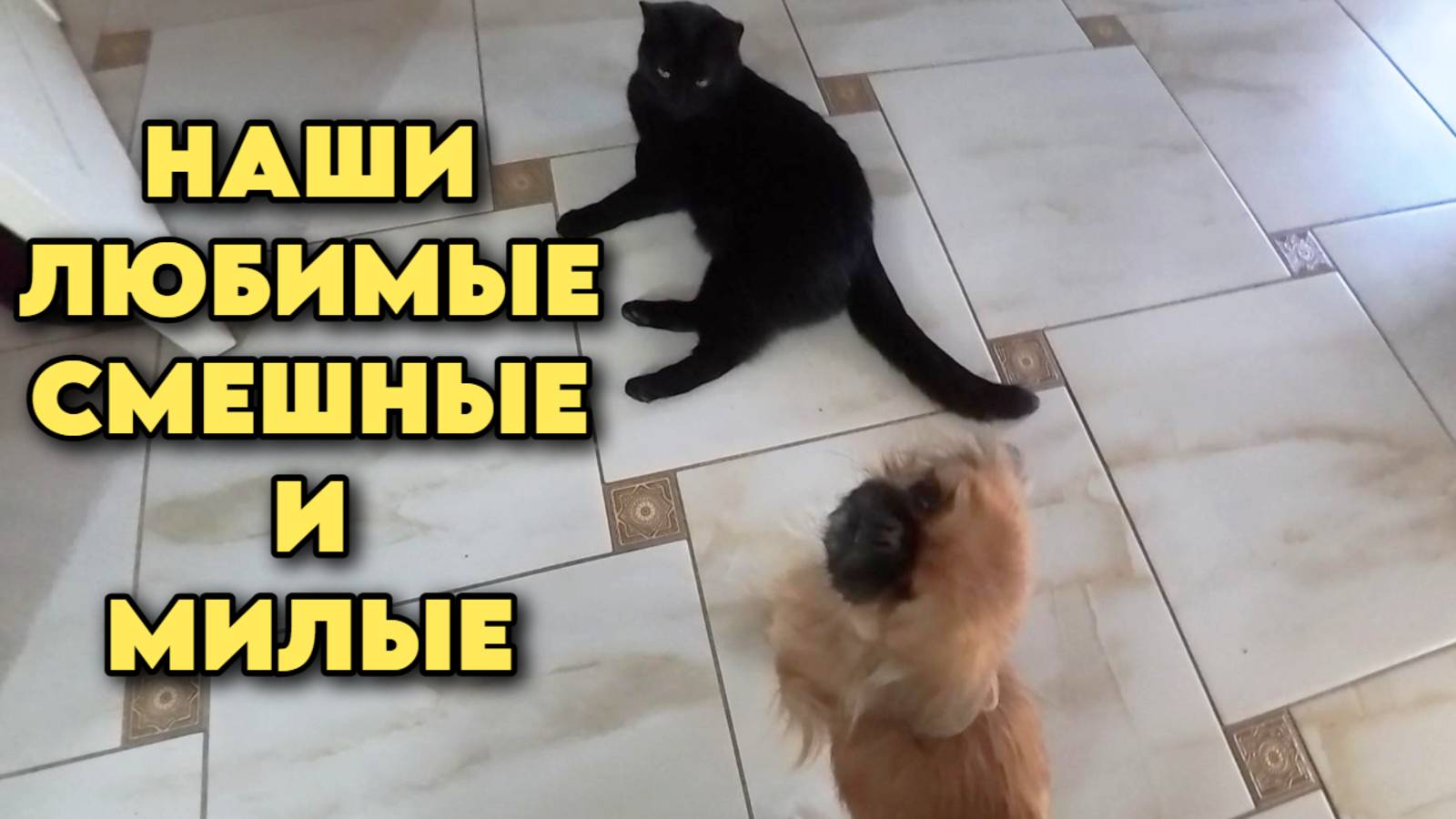 824 Повседневная жизнь семьи после переезда с Южного Урал/аСад и огород круглый год смотреть онлайн