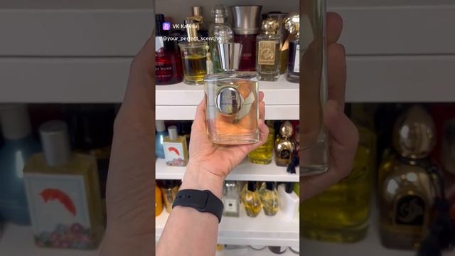 Классные бюджетные новинки моего парф гардероба #топ #рек #shorts #рекомендации #парфюмерия #аромат смотреть онлайн