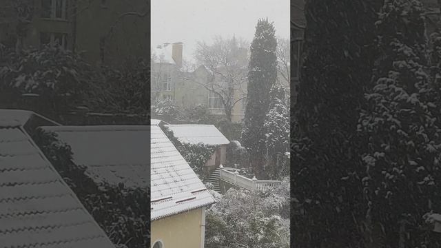 Ялта 💖💖💖 16.02.2025 смотреть онлайн