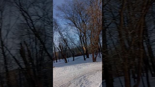 Гуляю в воскресенье! 😂 смотреть онлайн