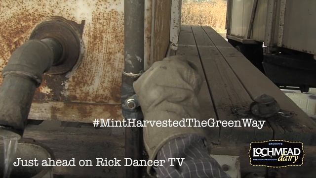 Open RDTV September 12st, Bertha Holt, Jim Gibb, Lochmead Mint Harvest смотреть онлайн