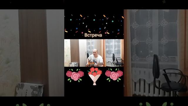 Встреча Автор и исполнитель: Владимир Курочкин смотреть онлайн