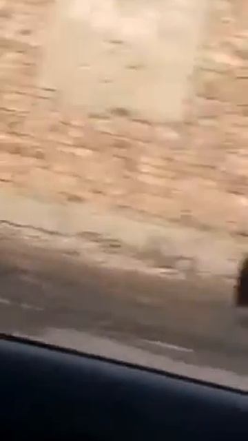Полиция в красных стрингах смотреть онлайн