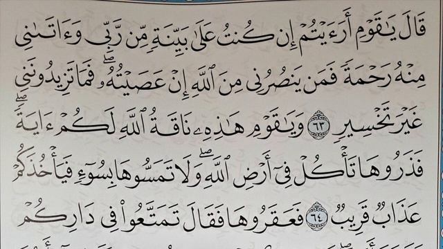 MS 229 Surah HUD 63 hingga 71 Belajar Mengaji Bertalaqqi | Quran Recitation смотреть онлайн