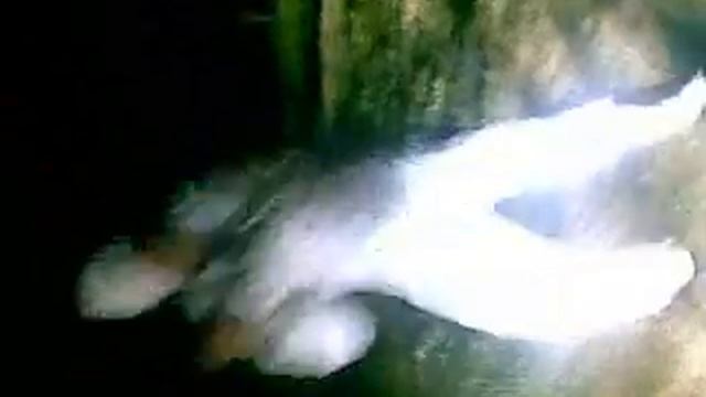 Обкуреный мальчик танцует тик тоник смотреть онлайн