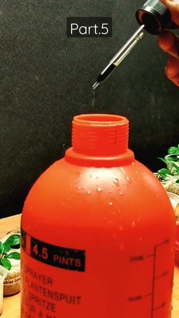 Neutralize Anubias Plant Diseases with Fungicides смотреть онлайн