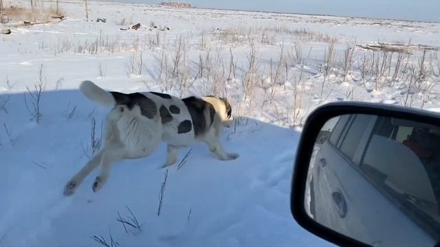 Барбас 11 месяцев смотреть онлайн