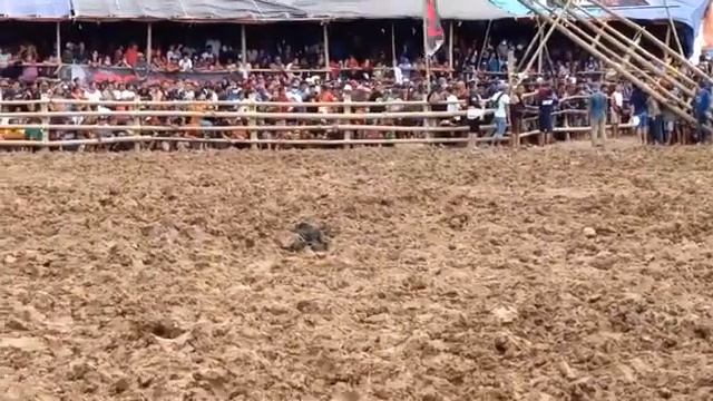 Si Bandel Tim Timah Panas (WIN) VS Sarkodes Tim Saxon смотреть онлайн