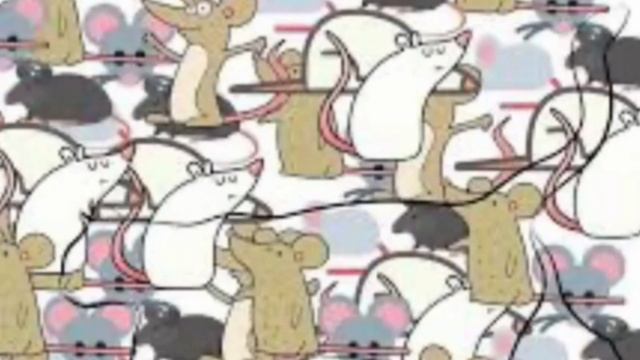 Тест на внимательность. смотреть онлайн