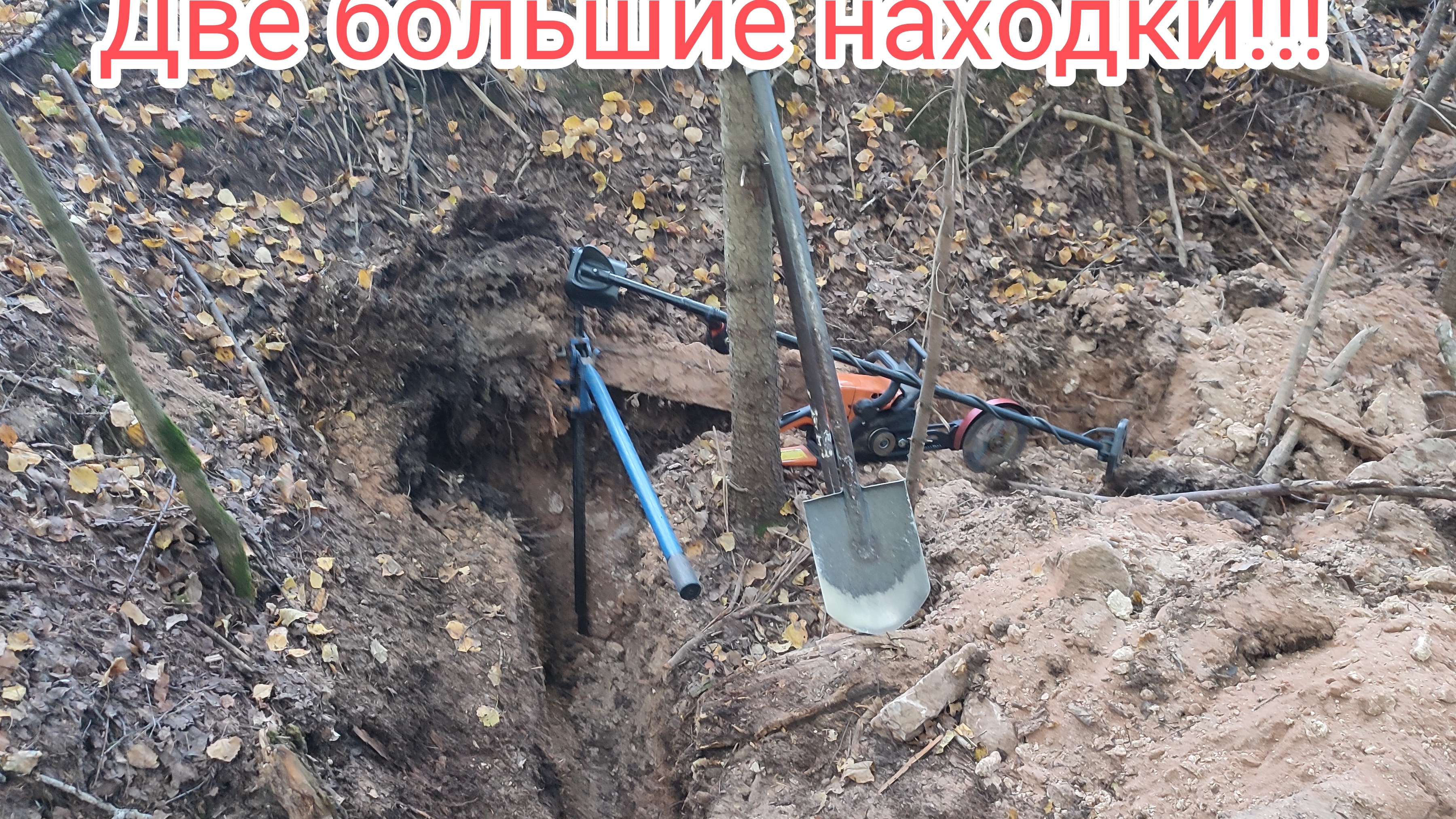 Что было в этом лесу???Две большие находки!!! смотреть онлайн