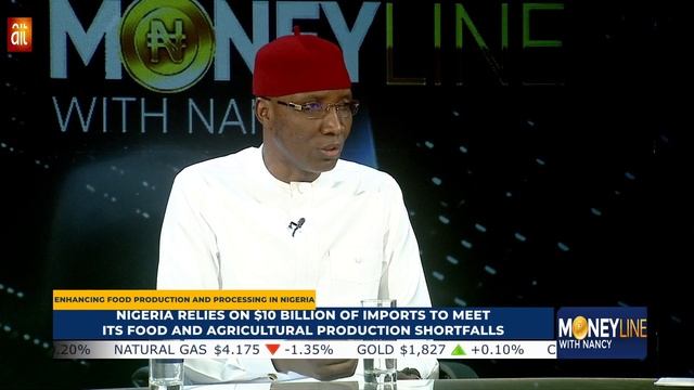 MONEYLINEWITHNANCY: ENHANCING FOOD PRODUCTION AND PROCESSING IN NIGERIA смотреть онлайн