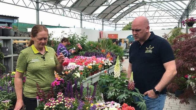 Flowers to help add Colour to your Garden | The Kerry Garden Show смотреть онлайн