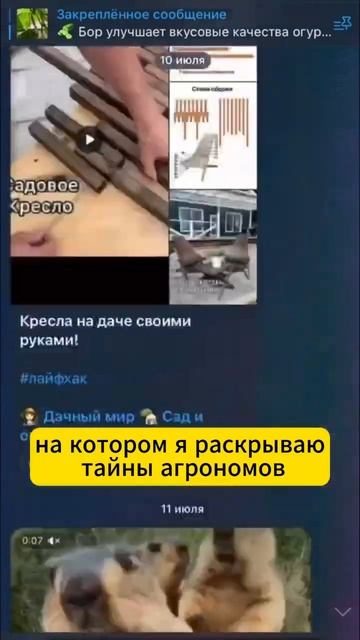 УКОРЕНЯЮ ОГУРЦЫ #рассадаогурцов #деревня #укоренение #размножениерастений #огород #дача #советы смотреть онлайн