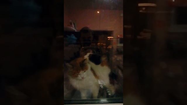 Учитесь люди! смотреть онлайн