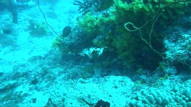 Maldives janvier 2013 смотреть онлайн