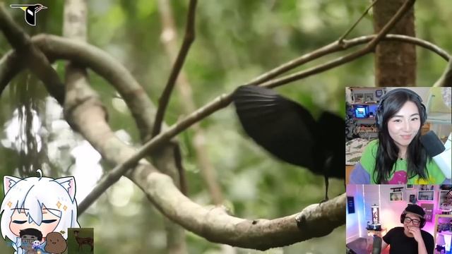 Celine & Ryan Could Not Stop Laughing at Janet the Bird смотреть онлайн