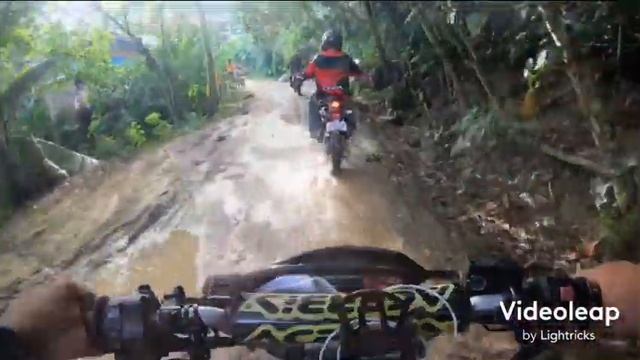 The Dragon Fruit & Citrus Grandis Ride смотреть онлайн