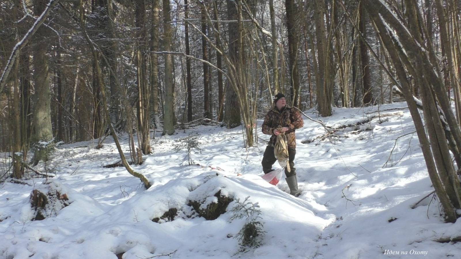 Кадры с фотоловушки. Активность зверей на кормушке. Жизнь в лесу. смотреть онлайн