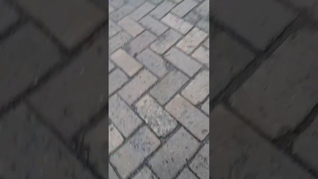 RC HBR 3 testing смотреть онлайн
