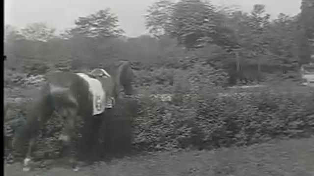 Robinet vuol fare il jockey (1910) Eng Sub смотреть онлайн