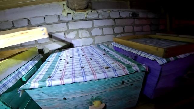 Р/к на 16 февраля смотреть онлайн