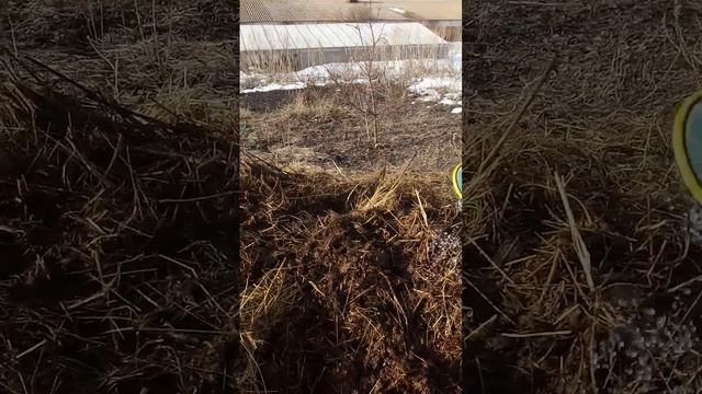 Эм-Эко с Кумицким Олегом Борисоглебск и его работа