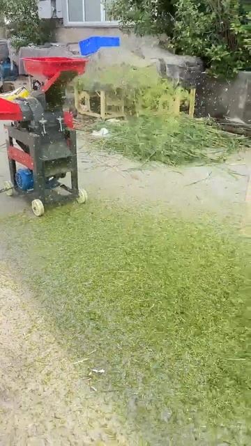 new chaff cutter grass chopper machine video смотреть онлайн