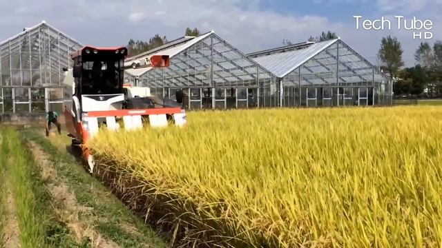Modern Agriculture Technology That Will CHANGE Everything! смотреть онлайн