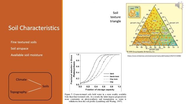 Challenges of Growing Trees in North Dakota смотреть онлайн