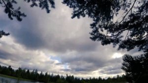 Охота на утку. Открытие охоты на водоплавающую. Снятие режима ЧС в ХМАО. Отдых от городской суеты.