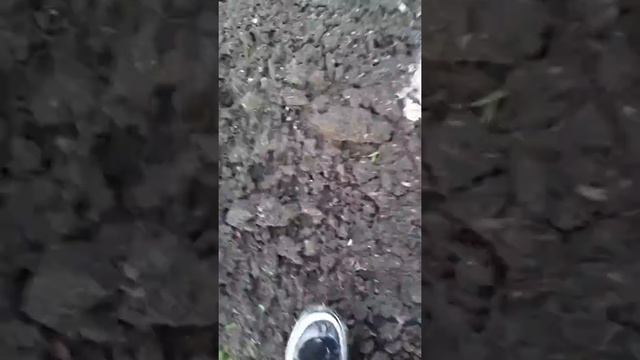 Камыши смотреть онлайн