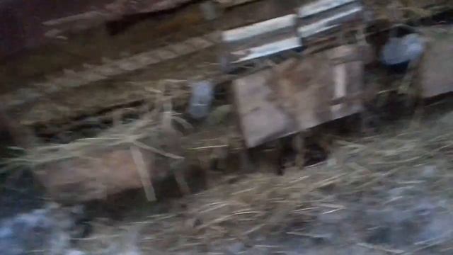 Як я доглядаю і утримую своїх кроликів... смотреть онлайн