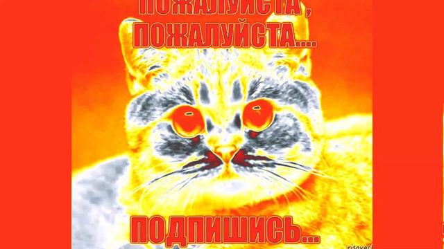 0216 (1) смотреть онлайн
