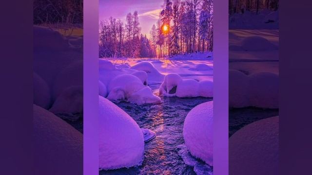 "Meilė ant smilgos"... смотреть онлайн